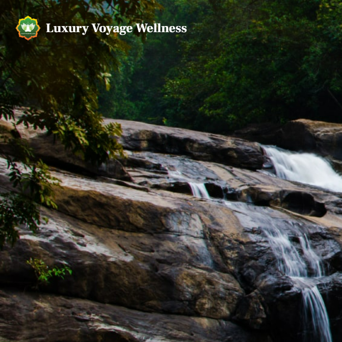 Luxury Voyage Wellness
